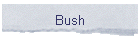 Bush